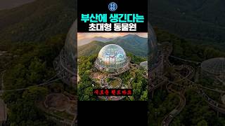 부산에 생긴다는 초대형 동물원