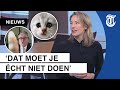 Gênante video-sessies: do's en don'ts tijdens een vergadering