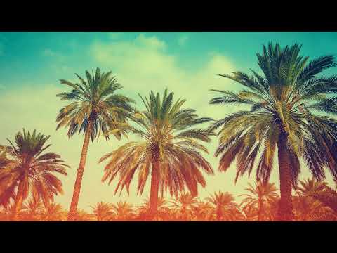 #bestmusic2018#electromusic#song#trancemusic#djshako#house#remix DJ SHAKO ELEKRTO MUSIC... $$$