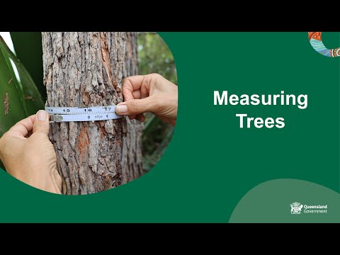Measuring Trees