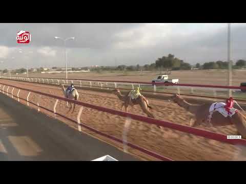 ش 11 (غرابه) لـ محمد غانم علي بن حموده الظاهري 4:31 , شارة الديوان 2026/1/17 حقايق السوان