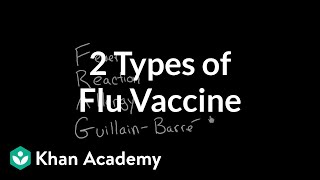 2 Types of Flu Vaccine