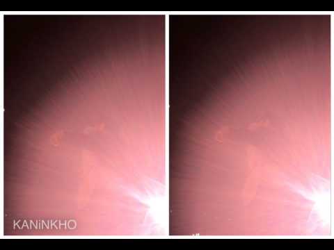 140914 Tao Love Love Love - TLP in BKK