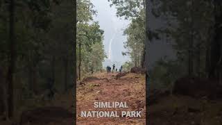 Download lagu Simlipal national park barehipani waterfall#similipal #odisha mp3 Download lagu Simlipal national park barehipani waterfall#similipal #odisha mp3