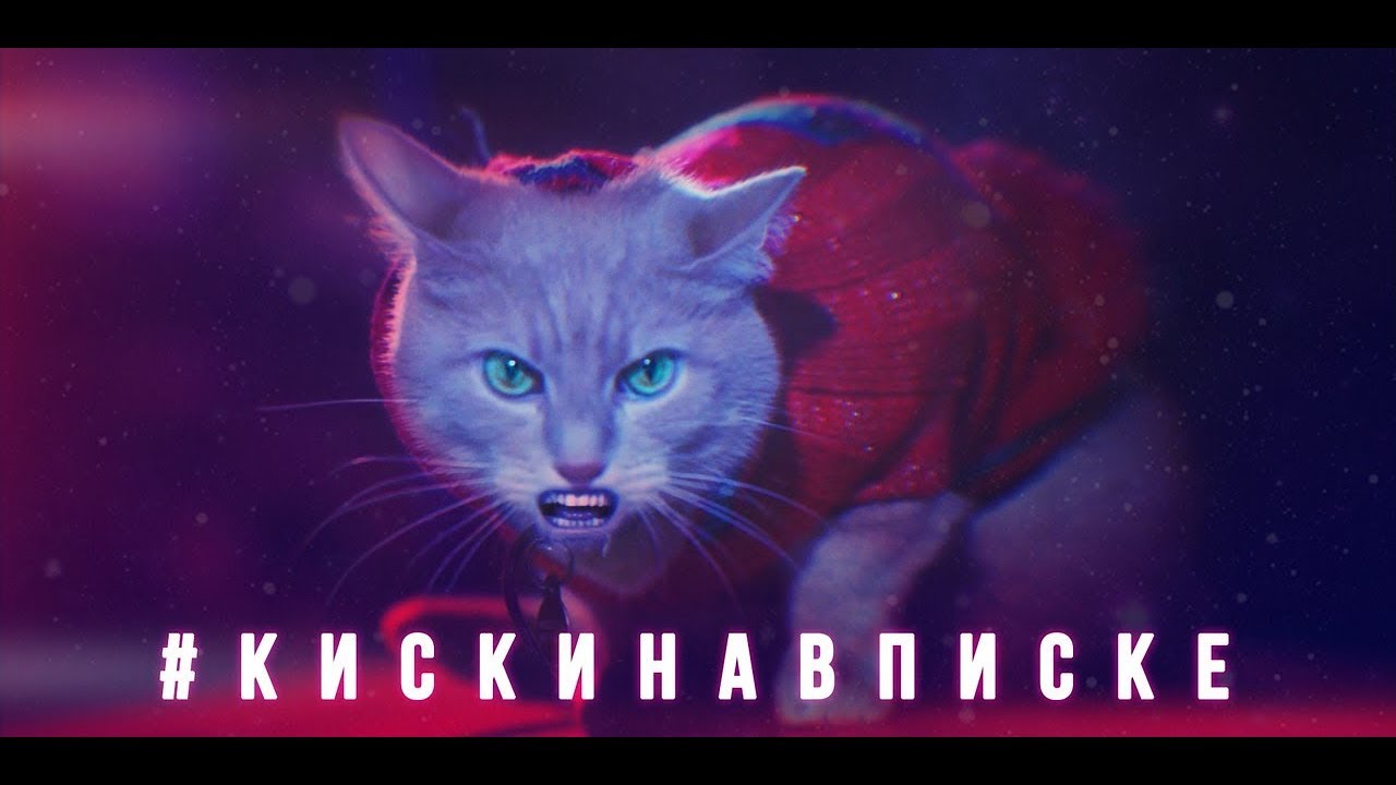 Сергей Арутюнов (Сергей Вертинский) & DJ Krupnov — #Киски на вписке