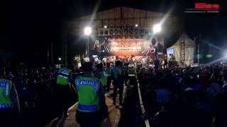 Download lagu Ilalang jihan audy new pallapa mp3