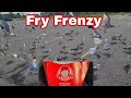 Feeding A Thousand Segals French Fries