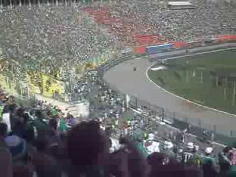 Torcida Palmeiras 26/10, Palmeiras 0 X 0 São Caetano