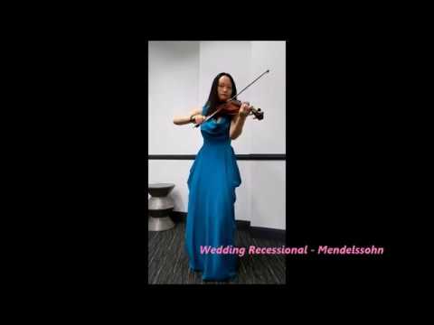 Promotional video thumbnail 1 for Precious Moment Violin Service
