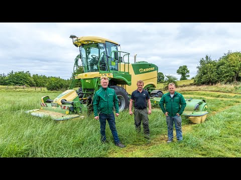 Healion's BiG M Ireland