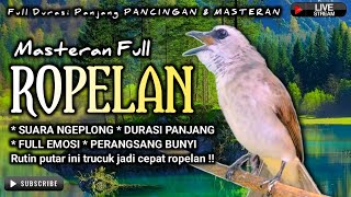 Download lagu TRUCUKAN GACOR FULL ROPEL PANJANG || pancingan, masteran terbaik untuk trucuk dan burung lainya mp3