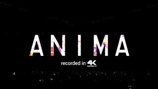 Martin Garrix Presents: ANIMA - Live @ Amsterdam RAI 2018