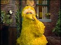 Sesame Street 2535 Street Scenes A Visit From Migrating Birds