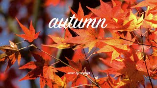 Download lagu LiQWYD - Autumn mp3 Download lagu LiQWYD - Autumn mp3