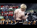 ダンベルだけで効く最強背中トレーニング3種目【初心者おすすめ】