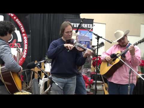 2017-01-07 O1 Vi Wickam - 2017 Colorado Fiddle Championships