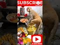 Shivude Devudani Nenante Lords Shiva Shorts Viral Treanding Monkey