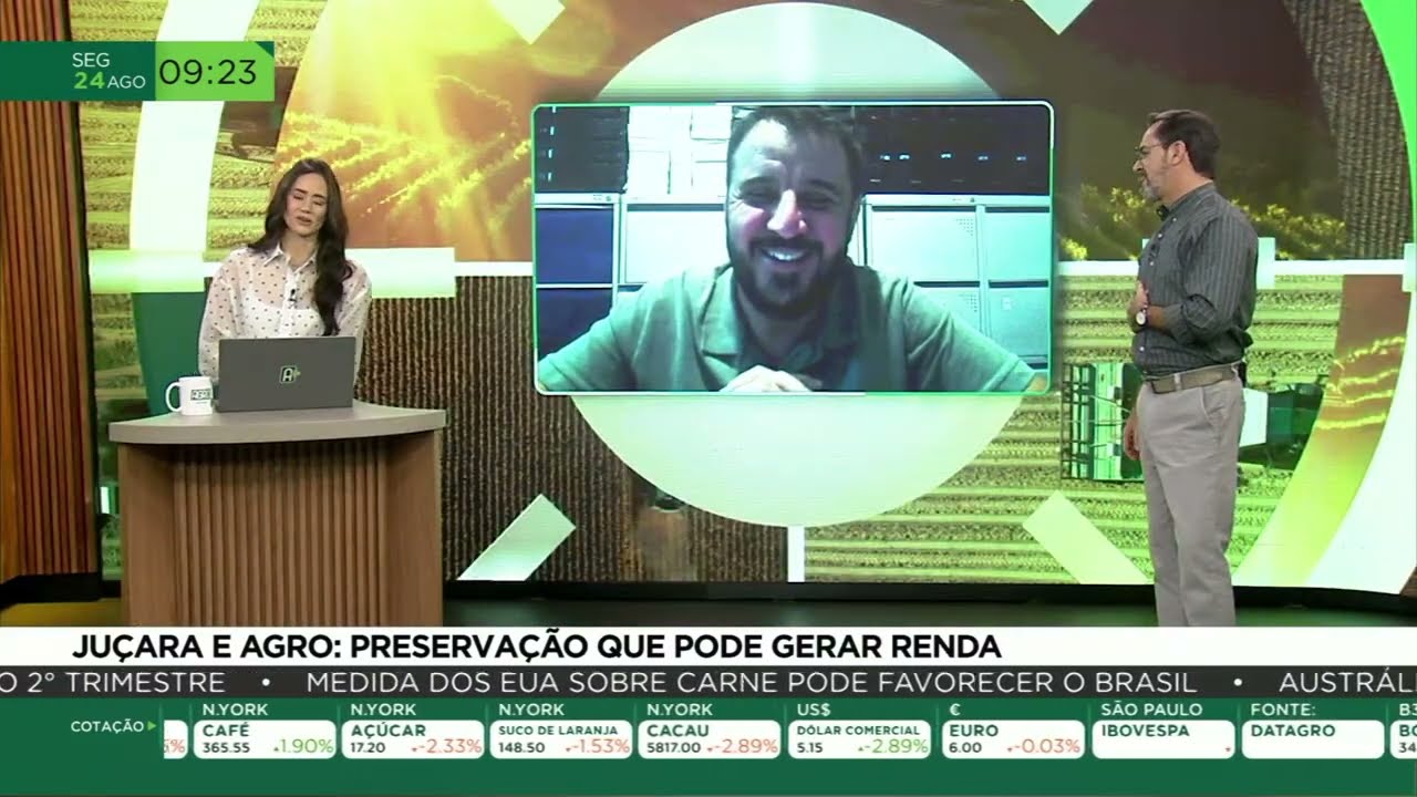 Projeto SAF Juçara fortalece produção sustentável no Vale do Ribeira