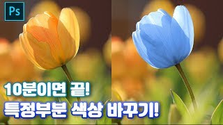 [포토샵 강좌 꿀팁] 10분안에 끝내요! 특정부분 색상 바꾸기 (photoshop color change effect)