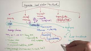 Imunologia- Inflamação Aguda