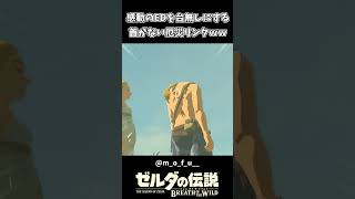 【ブレワイ】EDで首がない厄災リンクｗｗ【ゼルダの伝説 ブレス オブ ザ ワイルド】