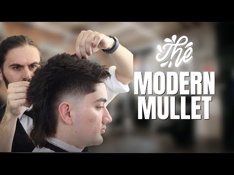 2023 Modern Mullet with Low Taper: Haircut &...