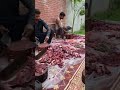 Eid Ul Adha Qurbani 2022 Aminhafeez Tiktok Qurbani 2022 Cow Eid
