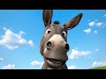 A Donkey S Perspective Funny Donkey Close Up From Below Veo 3 Generated