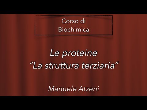 Donna eccitare affetto Il video con lazione di un agente patogeno cavallo