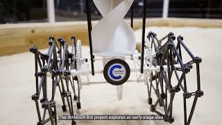 Assistive Navigation Robot