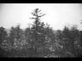 Woodland choir the tavern.wmv 