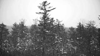 Woodland choir the tavern.wmv