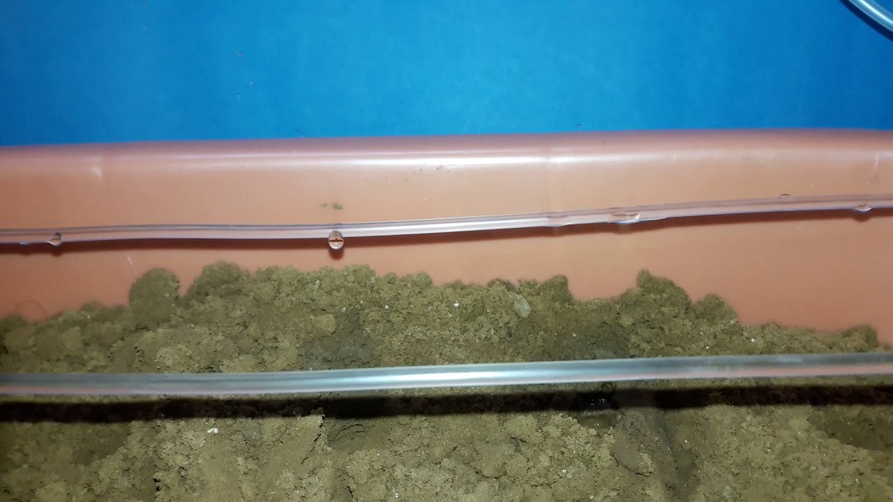 Drip irrigation science project 2