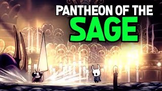 Hollow Knight  How to Beat the 3rd Pantheon of the Sage
