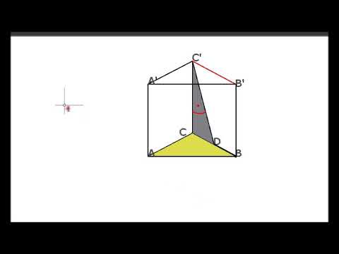 GEOME.RADU - UNGHIUL DINTRE DOUĂ DREPTE [4]
