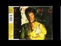 Sting - If I Ever Lose My Faith In You (Miracle Of ...