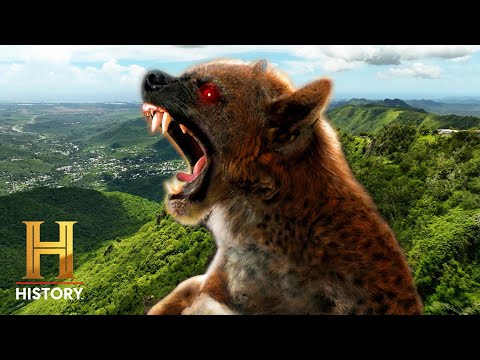 TERRIFYING El Chupacabra Found *Video Included* | The Proof Is Out There | History