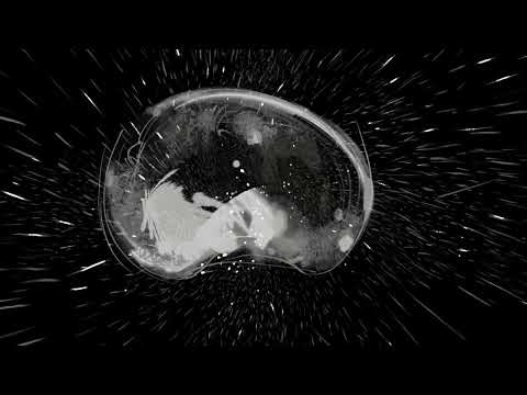 Jo Quail – Supplication (Official Video)