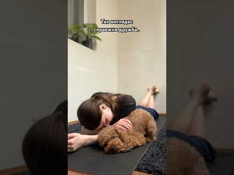 Справжня дружба існує! І вона виглядає саме так