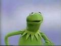 Classic Sesame Street Kermit On Necks
