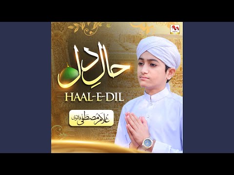 Haal E Dil