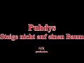 Puhdys - Steige nicht auf einen Baum(Lyrics)