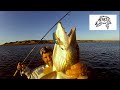 Video Thumbnail for October fishing from shore for big walleye and northern pike