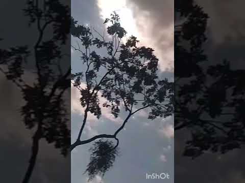 música e cidade,santo Antônio do paraíso  pr