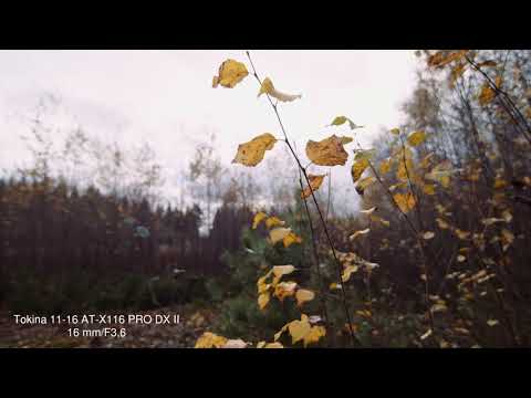 TOKINA 11-16 F 2.8  vs CARL ZEISS 18mm DISTAGON T*3,5 ZE + BMPCC 6K