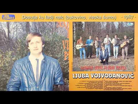 Ljuba Vojvodanovic - Dosulje ku fadji nalc (bukovino, visoka sumo) - (Audio 1987)