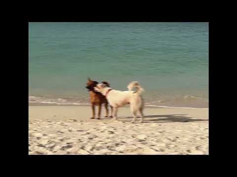 Plantpot - อยากให้เธอได้มีรอยยิ้ม [Special song for special person]