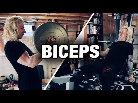 My Workout Routine: Biceps