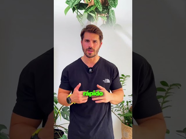 Vídeo relacionado con Der Rose Juego de 2 plantas suculentas artificiales para oficina, escritorio, baño, hogar, habitación, decoración estética para interiores