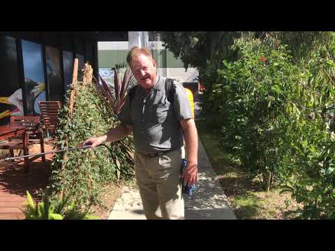 Electrostatic Sprayer: Dual Tip In Use